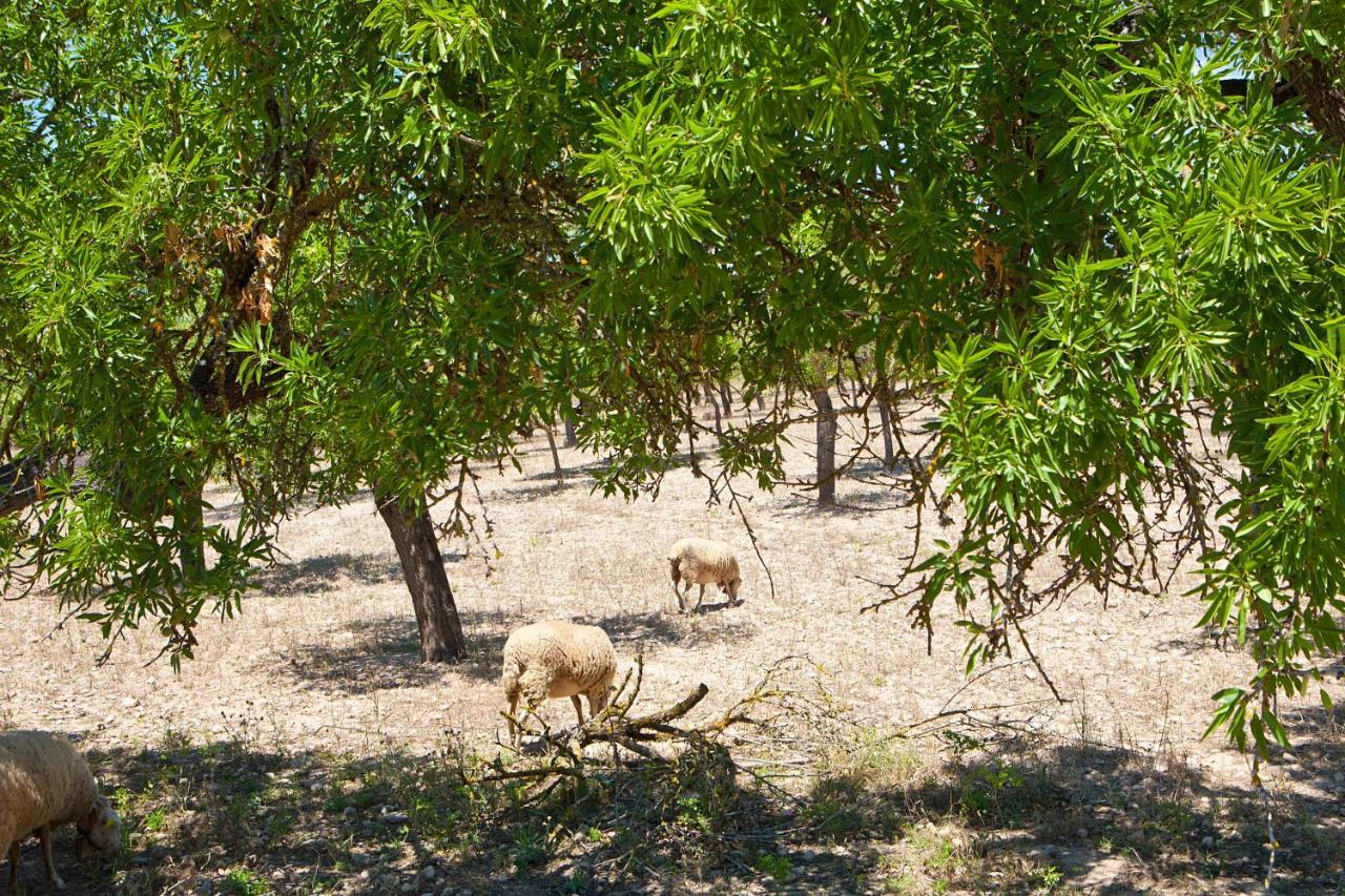 S'Hort De Son Caulelles - Adults Only Villa Marratxi Bagian luar foto