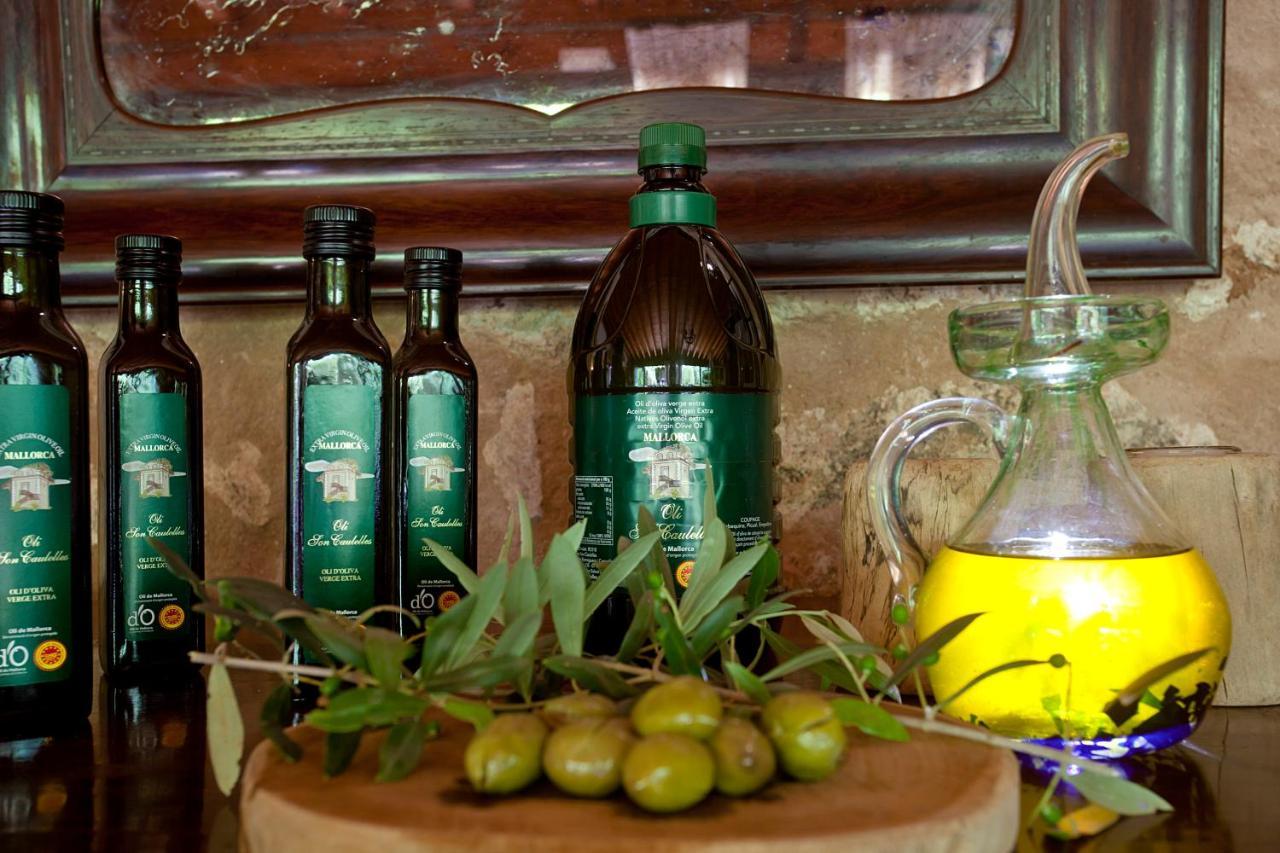 S'Hort De Son Caulelles - Adults Only Villa Marratxi Bagian luar foto