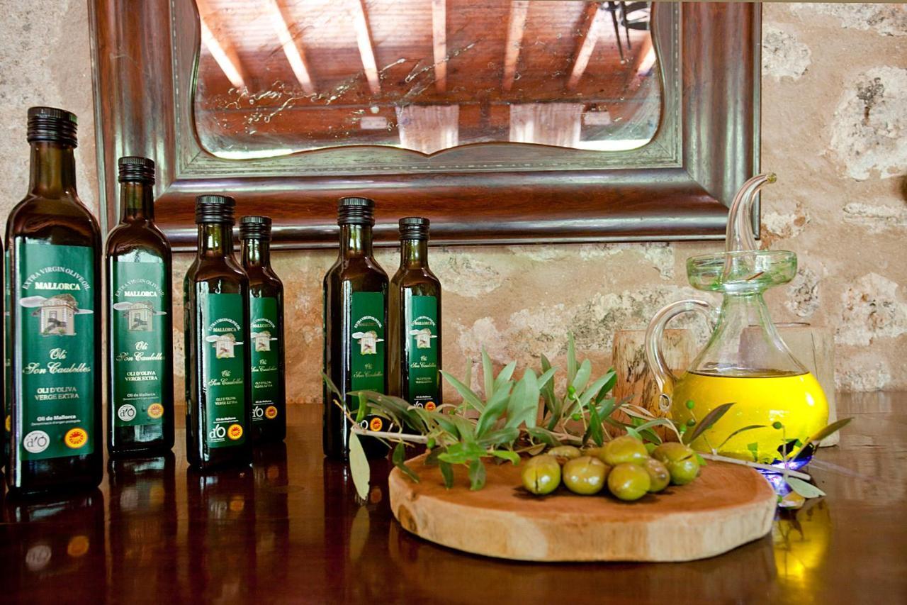 S'Hort De Son Caulelles - Adults Only Villa Marratxi Bagian luar foto